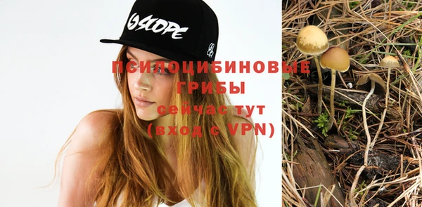 дурь Богданович