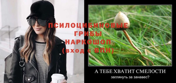дурь Богданович