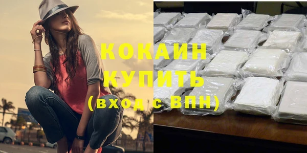 дурь Богданович