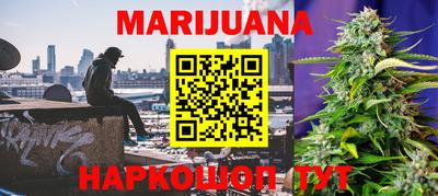 сатива Балахна