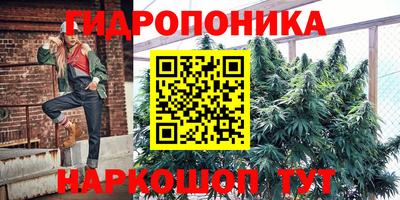 сатива Балахна