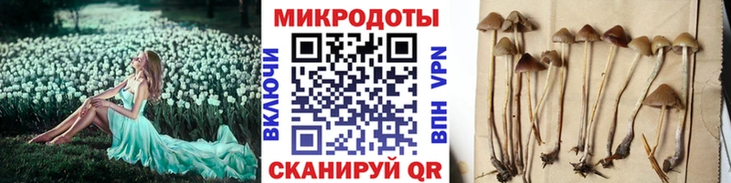 Галлюциногенные грибы Magic Shrooms  Домодедово 