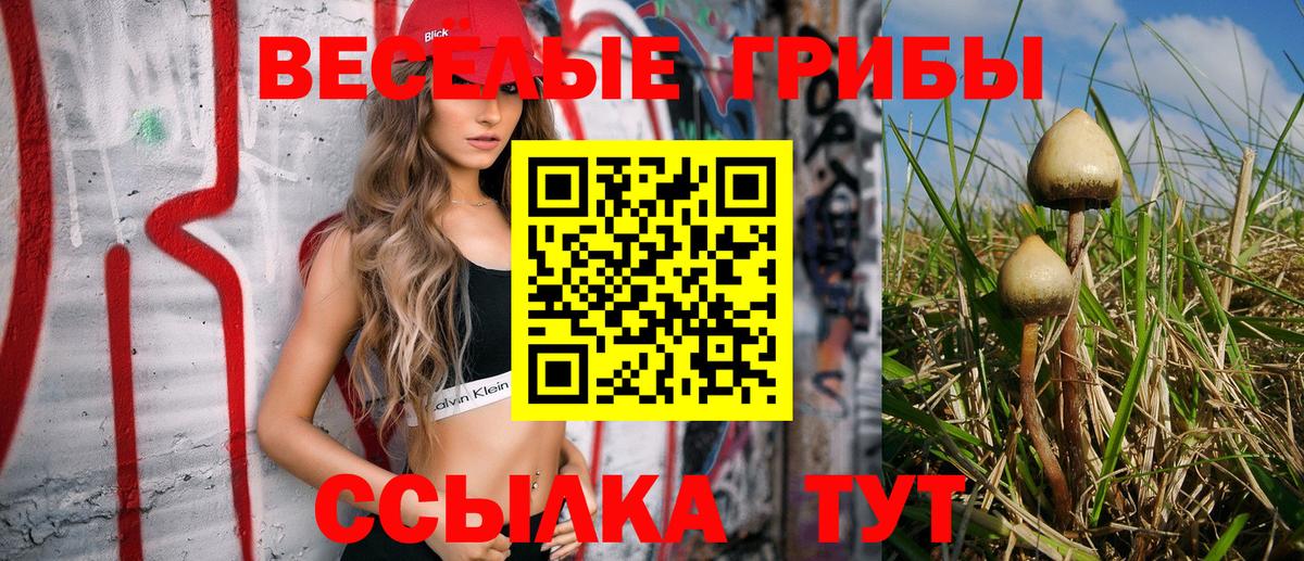 Псилоцибиновые грибы мицелий  Вход с VPN  Галлюциногенные грибы Cubensis  Домодедово 