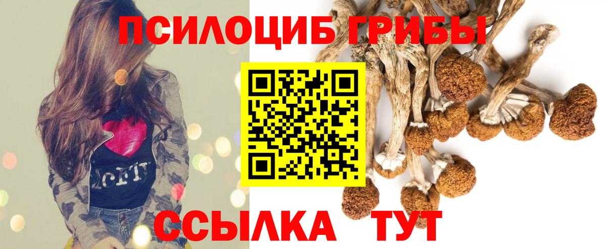 Галлюциногенные грибы ЛСД  Домодедово  Галлюциногенные грибы Magic Shrooms 