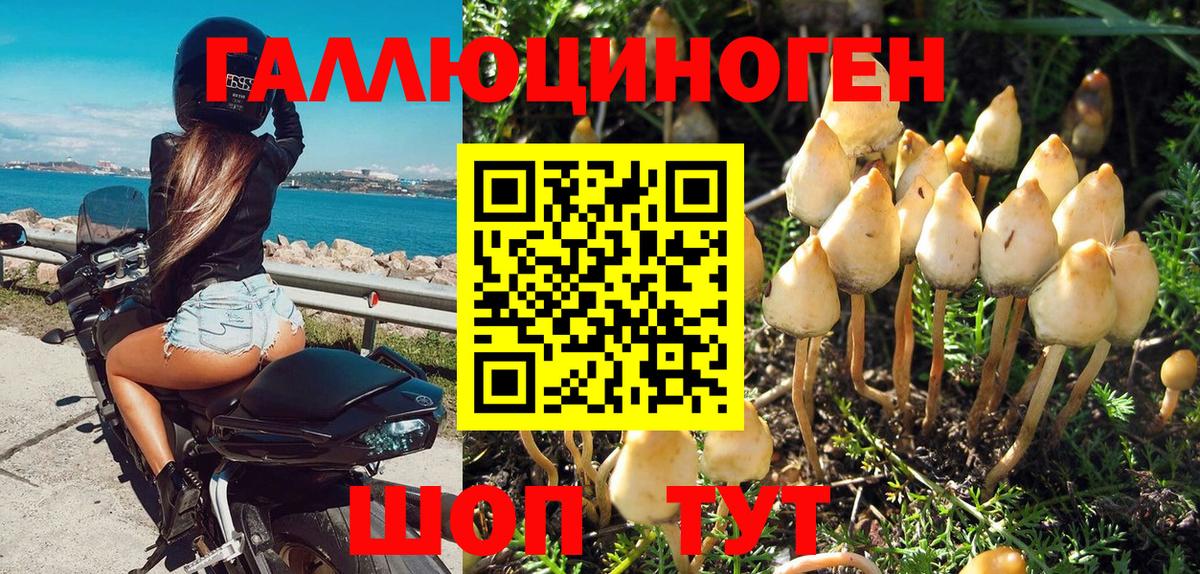 A PVP СОЛЬ кристаллы  КЕТАМИН  Домодедово  Гашиш  Каннабис  Меф   Вход с VPN  МЕТАМФЕТАМИН 