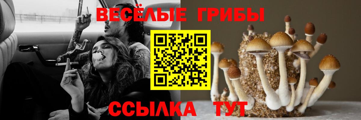 Галлюциногенные грибы ЛСД Домодедово