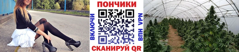 shop формула  Домодедово  Канабис SATIVA & INDICA 